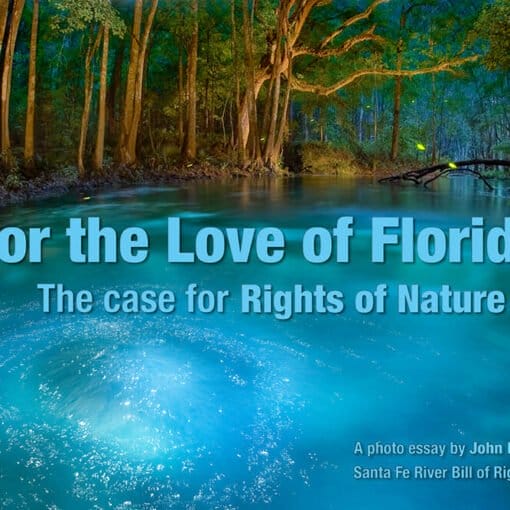 nature 1 In: The Case for Rights of Nature--- | Our Santa Fe River, Inc. (OSFR) | Protecting the Santa Fe River