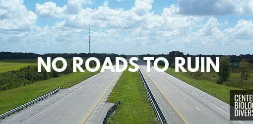no roads to ruin CFBD In: Future M-CORES Meetings | Our Santa Fe River, Inc. (OSFR) | Protecting the Santa Fe River