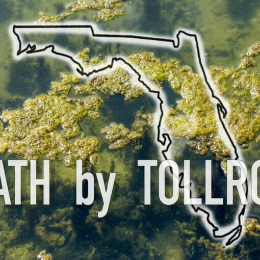 toll road costellomoran In: DEATH BY TOLL ROAD | Our Santa Fe River, Inc. (OSFR) | Protecting the Santa Fe River