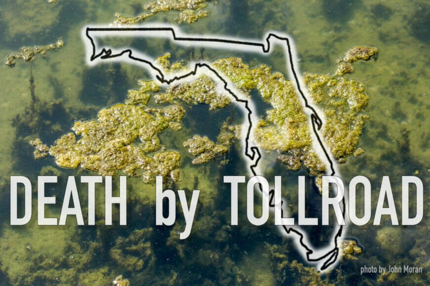 toll road costellomoran In: DEATH BY TOLL ROAD | Our Santa Fe River, Inc. (OSFR) | Protecting the Santa Fe River
