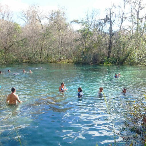 IchSprings In: Ichetucknee Springs open to tubers once again | Our Santa Fe River, Inc. (OSFR) | Protecting the Santa Fe River