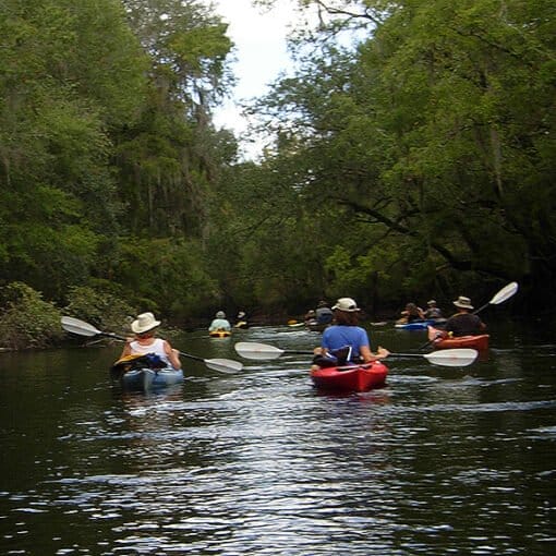 PADDLE OCTGROUP 1 In: Two Santa Fe springs to be preserved | Our Santa Fe River, Inc. (OSFR) | Protecting the Santa Fe River