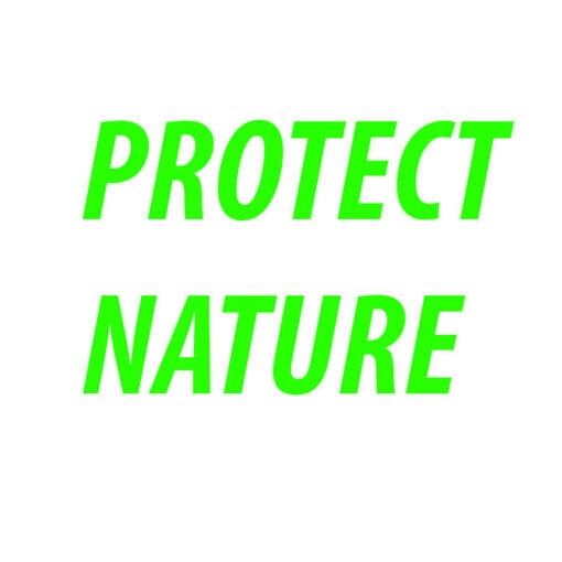 PROTECT NATURE In: Restarting economy by weakening water quality, growth management a bad idea | Our Santa Fe River, Inc. (OSFR) | Protecting the Santa Fe River
