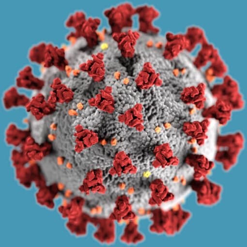 corina virus In: “Our wastewater is chock-full of the virus,” | Our Santa Fe River, Inc. (OSFR) | Protecting the Santa Fe River
