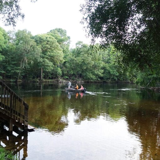 Rum Island Park2 In: Plan To Restore Springs In The Santa Fe River Shows A Promising But Challenging Year Ahead | Our Santa Fe River, Inc. (OSFR) | Protecting the Santa Fe River
