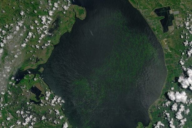 lake okeechobee oli 2016184 lrg In: Manifest Failure of the Florida Department of Environmental Protection | Our Santa Fe River, Inc. (OSFR) | Protecting the Santa Fe River