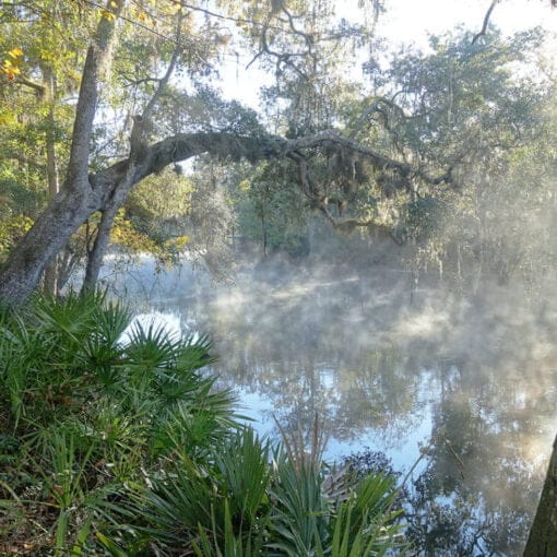 river for mfls In: Florida Does Not Protect Its Rivers | Our Santa Fe River, Inc. (OSFR) | Protecting the Santa Fe River