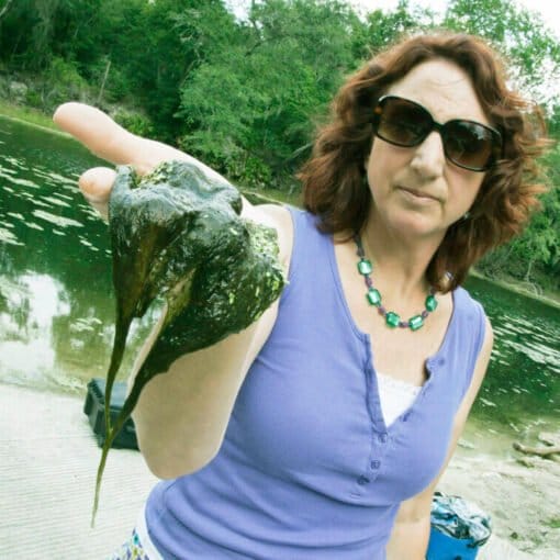 Merrillee algae4 In: Threats to Our Springs | Our Santa Fe River, Inc. (OSFR) | Protecting the Santa Fe River