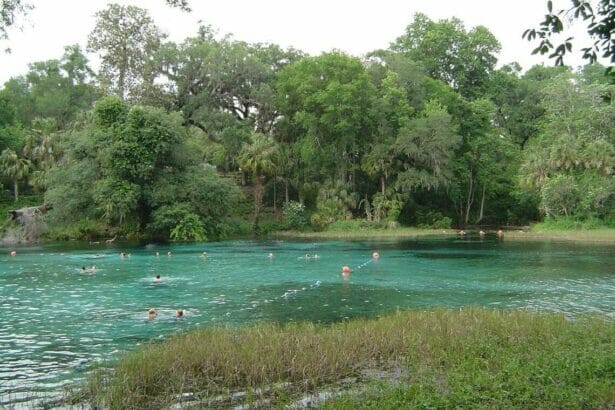 Rainbow spgs florida In: Big Threat For Rainbow River | Our Santa Fe River, Inc. (OSFR) | Protecting the Santa Fe River