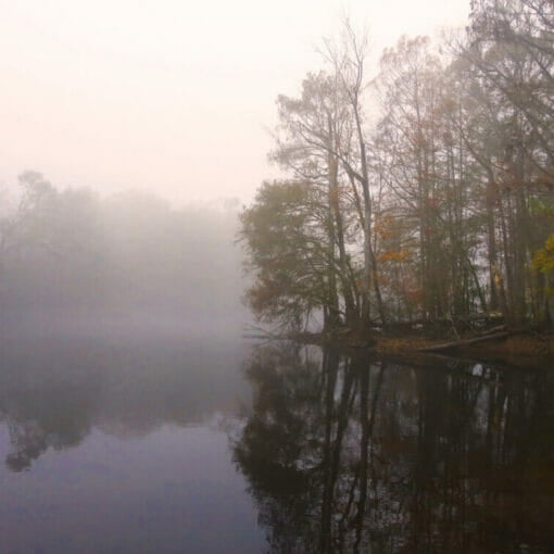 Rum island 22 In: Thorn (Rum Island Park) Is Thrust Deeper Into Commissioners' Sides And Twisted | Our Santa Fe River, Inc. (OSFR) | Protecting the Santa Fe River