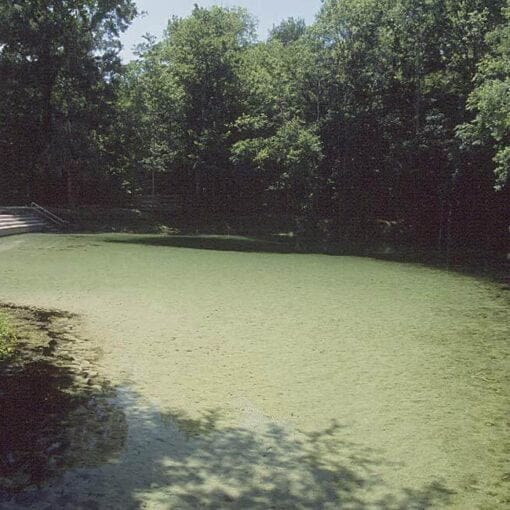 PoeSpring public D In: Poe to be closed for five months. | Our Santa Fe River, Inc. (OSFR) | Protecting the Santa Fe River