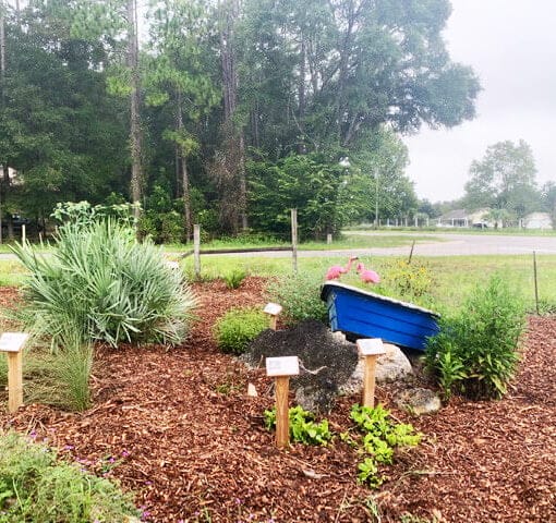 OSFR GARDEN SEPT 20 B In: OSFR Garden is exemplary | Our Santa Fe River, Inc. (OSFR) | Protecting the Santa Fe River