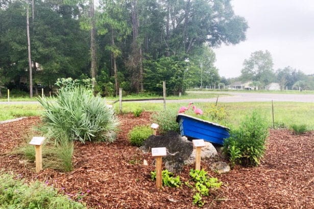 OSFR GARDEN SEPT 20 B In: OSFR Garden is exemplary | Our Santa Fe River, Inc. (OSFR) | Protecting the Santa Fe River