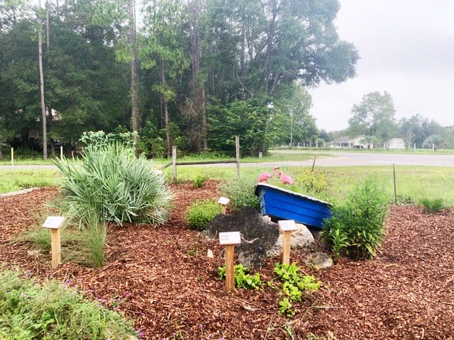 OSFR GARDEN SEPT 20 B In: OSFR Garden is exemplary | Our Santa Fe River, Inc. (OSFR) | Protecting the Santa Fe River