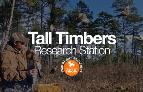 TT Park Cities Quail In: Tall Timbers wants Suncoast Connector "NO BUILD." | Our Santa Fe River, Inc. (OSFR) | Protecting the Santa Fe River