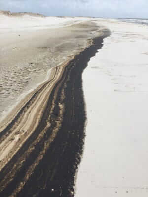 Tarballs pensacola In: BP and Nestle go well together | Our Santa Fe River, Inc. (OSFR) | Protecting the Santa Fe River
