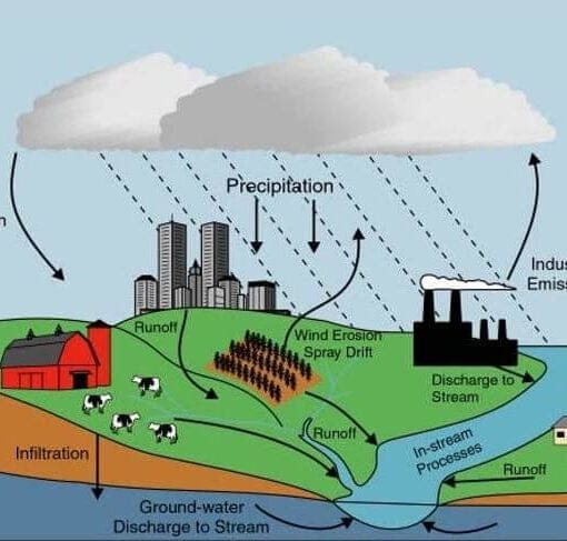 algae USGS In: Florida not ready to fix the problem | Our Santa Fe River, Inc. (OSFR) | Protecting the Santa Fe River