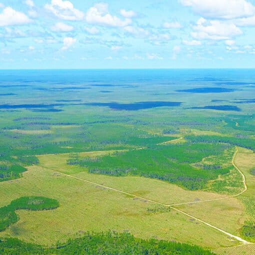 WETLANDS NORTH FLA In: Legislators & Governor Protect Development | Our Santa Fe River, Inc. (OSFR) | Protecting the Santa Fe River