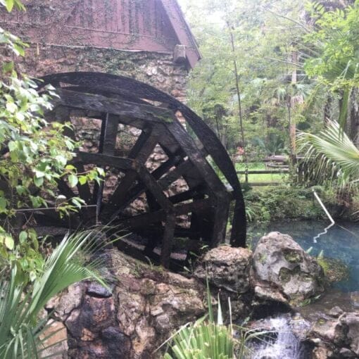 CCC juniper fL wiki 1 In: Nature of Things: Reviving the Civilian Conservation Corps is a solid idea | Our Santa Fe River, Inc. (OSFR) | Protecting the Santa Fe River