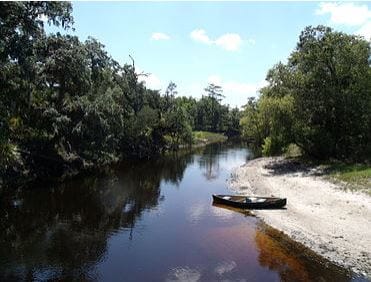 EconRiver In: Ignoring Legislature, Central Florida voters say clean water is a right | Our Santa Fe River, Inc. (OSFR) | Protecting the Santa Fe River