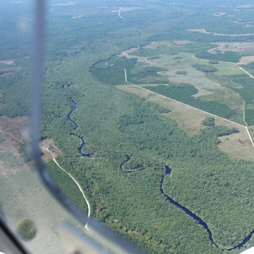 Suwannee r looking southeast In: Clean water rollbacks enable destruction of 400 acres of wetlands near Okefenokee-- | Our Santa Fe River, Inc. (OSFR) | Protecting the Santa Fe River