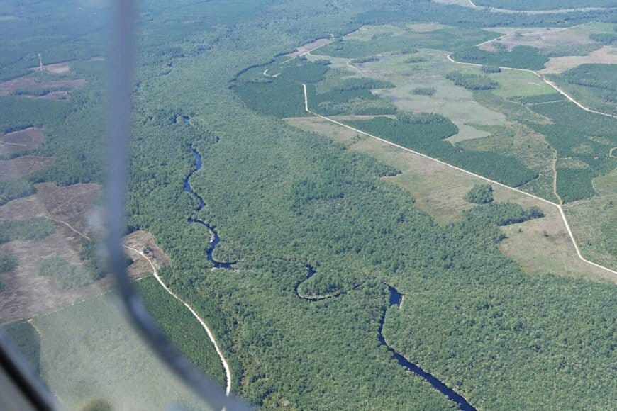 Suwannee r looking southeast In: Clean water rollbacks enable destruction of 400 acres of wetlands near Okefenokee-- | Our Santa Fe River, Inc. (OSFR) | Protecting the Santa Fe River