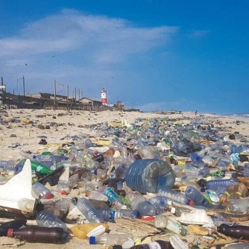 plastic on beach wiki In: Anti-pollution Advocates Cheer as Army Corps Reviews Formosa Plastics Permit in Louisiana | Our Santa Fe River, Inc. (OSFR) | Protecting the Santa Fe River
