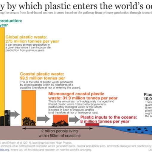 plastic pollution wiki free In: Plastic waste taking toll on Florida wildlife | Our Santa Fe River, Inc. (OSFR) | Protecting the Santa Fe River