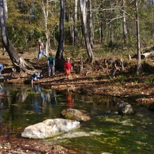 TV COMMERCIAL In: Kids, Your Chance to be on TV, 30 Volunteers Needed | Our Santa Fe River, Inc. (OSFR) | Protecting the Santa Fe River