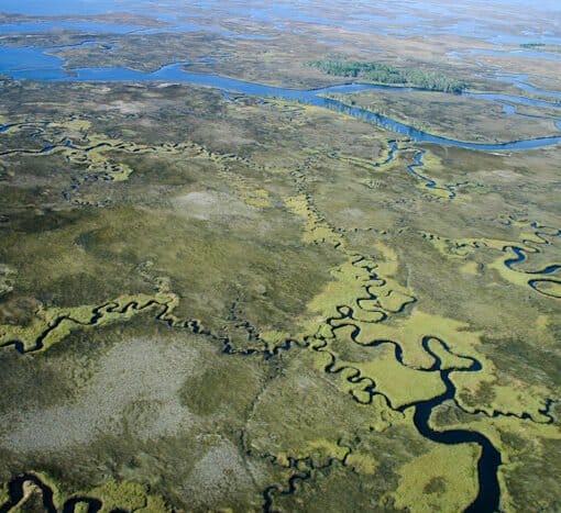 Chassahowitzka Wilderness Aerial 3 In: Over-pumping groundwater has many ripple effects, all bad. | Our Santa Fe River, Inc. (OSFR) | Protecting the Santa Fe River