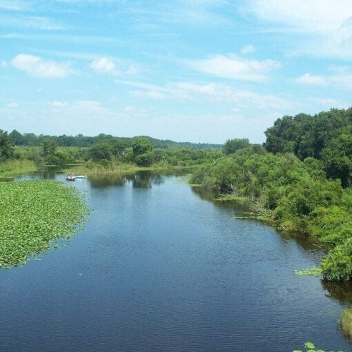 Ocklawaha River north01wikicommons In: It’s time to finally free the Ocklawaha-- | Our Santa Fe River, Inc. (OSFR) | Protecting the Santa Fe River
