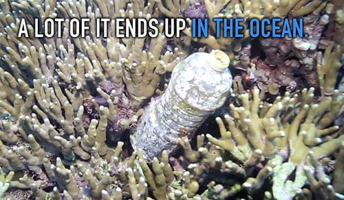 bottle in coral noaaFI In: More Deadly Reasons We Don't Want Bottled Water | Our Santa Fe River, Inc. (OSFR) | Protecting the Santa Fe River