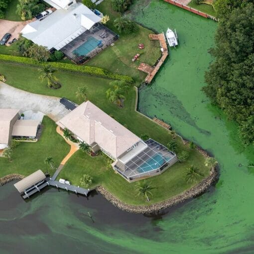 moranpermission In: DeSantis is not helping the environment, only pretending | Our Santa Fe River, Inc. (OSFR) | Protecting the Santa Fe River