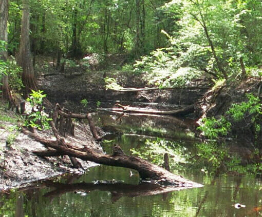 GreemSwampSWFWMD In: Miners are "environmentalists at heart" Really?-- | Our Santa Fe River, Inc. (OSFR) | Protecting the Santa Fe River