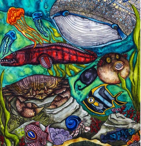 Cirnioplastic article In: Plastic World or Plastic-Free World? | Our Santa Fe River, Inc. (OSFR) | Protecting the Santa Fe River