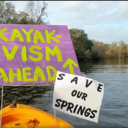 GinnierallyMMJ2 In: HELP THE SANTA FE RIVER: Kayaktivism event Sat. May 29, 2021, 11 - 2 o'clock | Our Santa Fe River, Inc. (OSFR) | Protecting the Santa Fe River