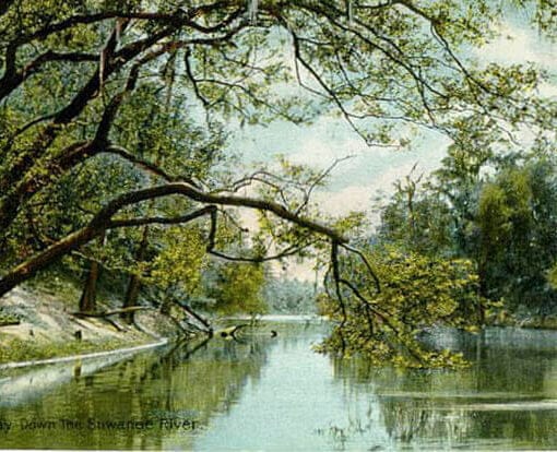 craigpittman article SUwanneeriver In: FL allowing mining of state-owned wetlands has a certain smell to it | Our Santa Fe River, Inc. (OSFR) | Protecting the Santa Fe River