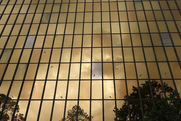 DEPbldgme In: "Overwhelming Interest" Means Criticism & Outrage | Our Santa Fe River, Inc. (OSFR) | Protecting the Santa Fe River