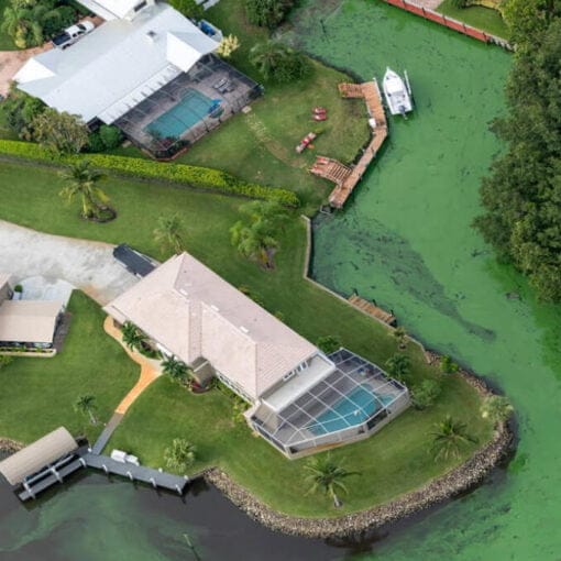 algaeJohnMoran In: Craig Pittman for New Secretary of DEP | Our Santa Fe River, Inc. (OSFR) | Protecting the Santa Fe River