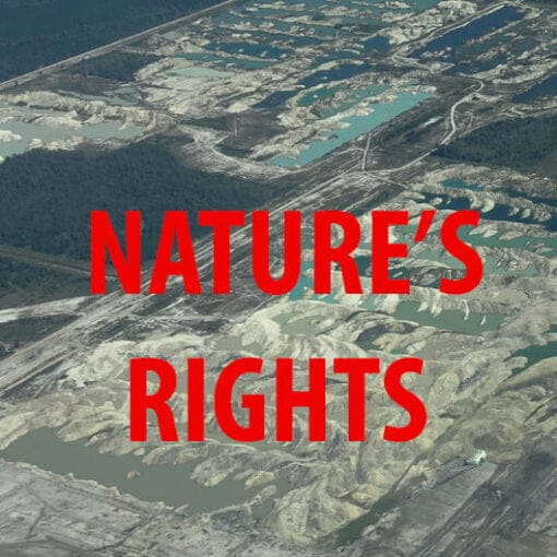 rightsof naturePHOSPHATE In: A Lake In Florida Suing to Protect Itself | Our Santa Fe River, Inc. (OSFR) | Protecting the Santa Fe River