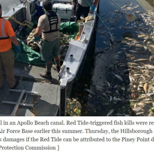 RedTide HillsCo depComm public In: Hillsborough, Port Tampa Bay, Water Utility Seek Link Between Piney Point and Red Tide | Our Santa Fe River, Inc. (OSFR) | Protecting the Santa Fe River