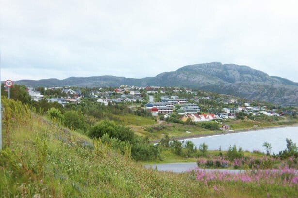 altanorwaypubdomain In: 96,000 Norwegian Fish Die in Chlorine Leak-- | Our Santa Fe River, Inc. (OSFR) | Protecting the Santa Fe River