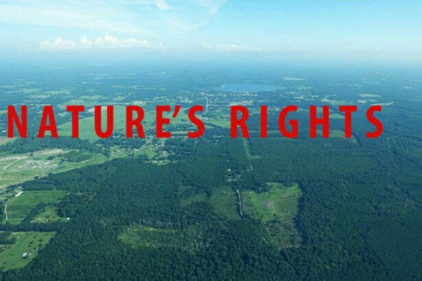 lakebutler2 In: The Need for the ‘Florida 5’ | Our Santa Fe River, Inc. (OSFR) | Protecting the Santa Fe River