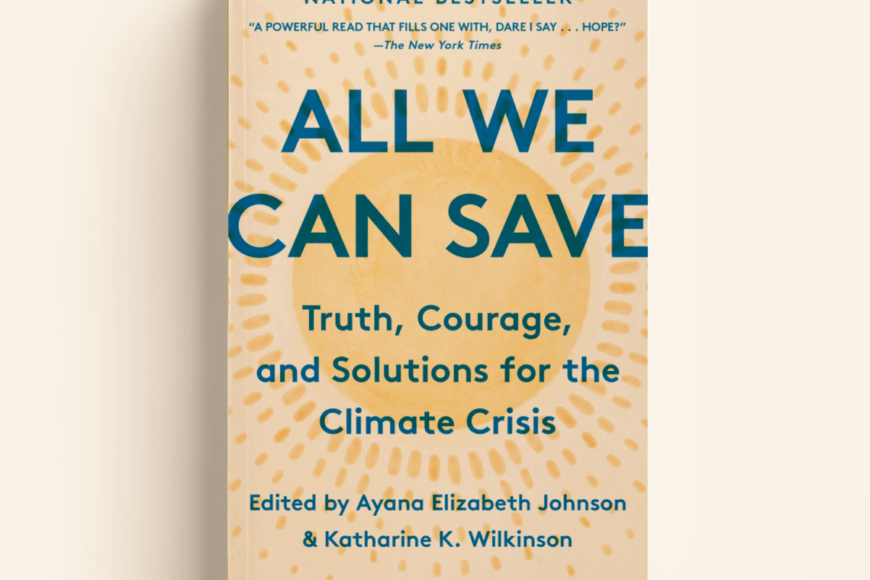 Book Cover - All We Can Save: Truth, Courage, and Solutions for the Climate Crisis by Ayana Elizabeth Johnson