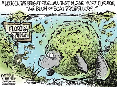 andymarlettemanateeFI In: Common Sense Required | Our Santa Fe River, Inc. (OSFR) | Protecting the Santa Fe River