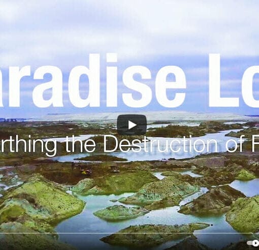 paradiselostimage In: New Phosphate Video "Paradise Lost." | Our Santa Fe River, Inc. (OSFR) | Protecting the Santa Fe River