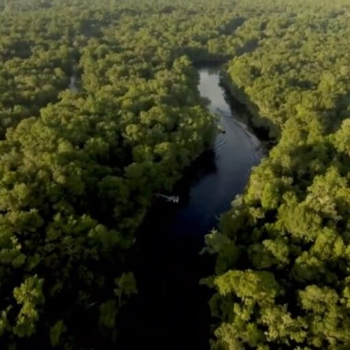 Santa Fe River Video Snapshot In: Public Fed-Up With Development | Our Santa Fe River, Inc. (OSFR) | Protecting the Santa Fe River