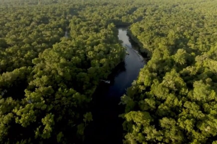 Santa Fe River Video Snapshot In: Public Fed-Up With Development | Our Santa Fe River, Inc. (OSFR) | Protecting the Santa Fe River