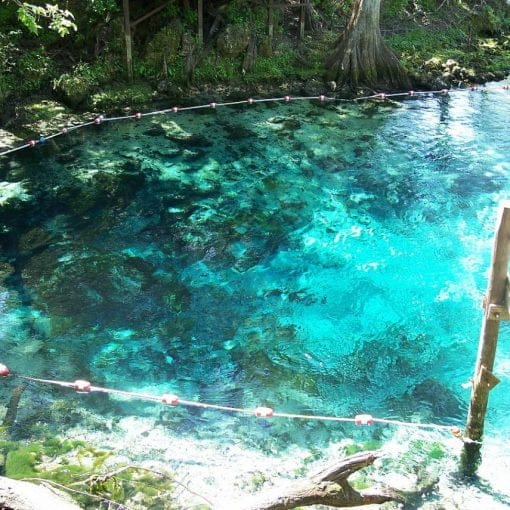 fanningsprgwiki In: Fanning Springs Among the Most Polluted in Region, State | Our Santa Fe River, Inc. (OSFR) | Protecting the Santa Fe River