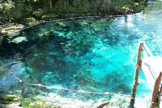 fanningsprgwiki In: Fanning Springs Among the Most Polluted in Region, State | Our Santa Fe River, Inc. (OSFR) | Protecting the Santa Fe River